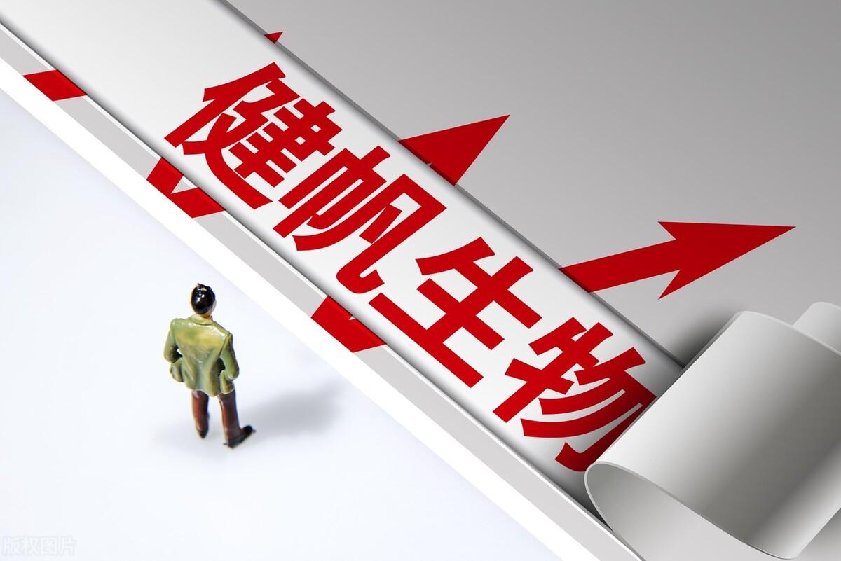 探索股票分紅的小巷寶藏店，投資與回報之路