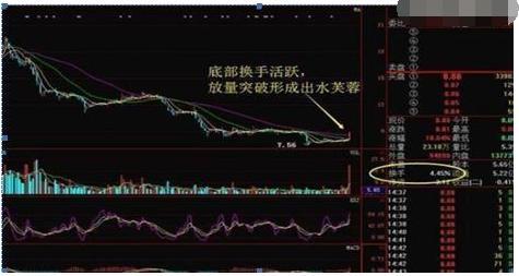 換手率高的股票背后的故事，揭示日常趣味與深意