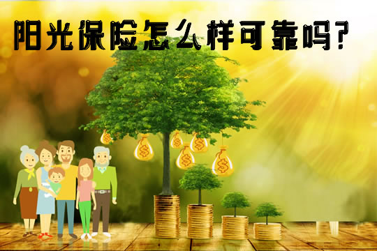 陽光保險(xiǎn)招聘信息詳解，如何把握機(jī)遇，成功入職陽光保險(xiǎn)？