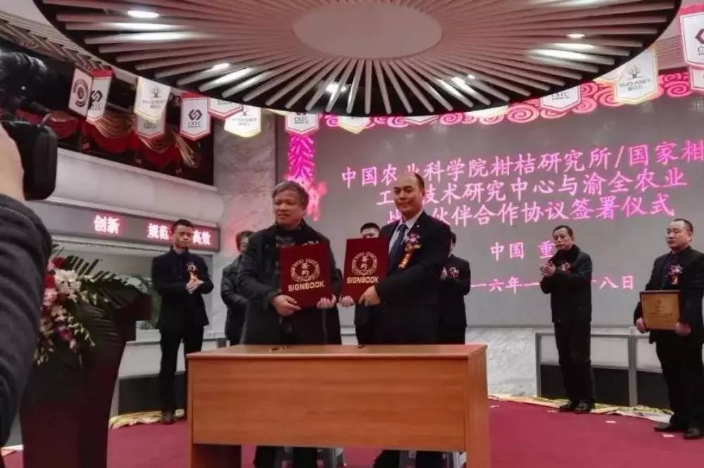 公司上市資本,公司上市資本，詳細步驟指南