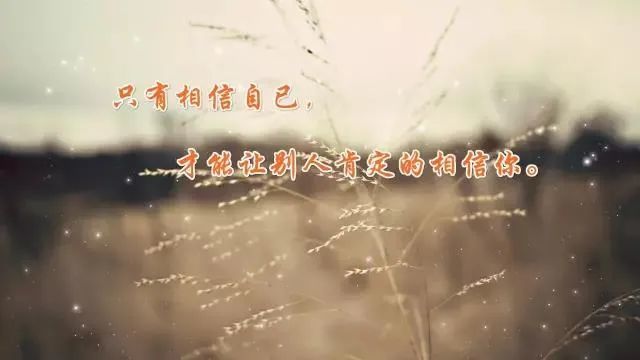 時代的印記與心靈的回響，精選心情短語與人生感悟回顧