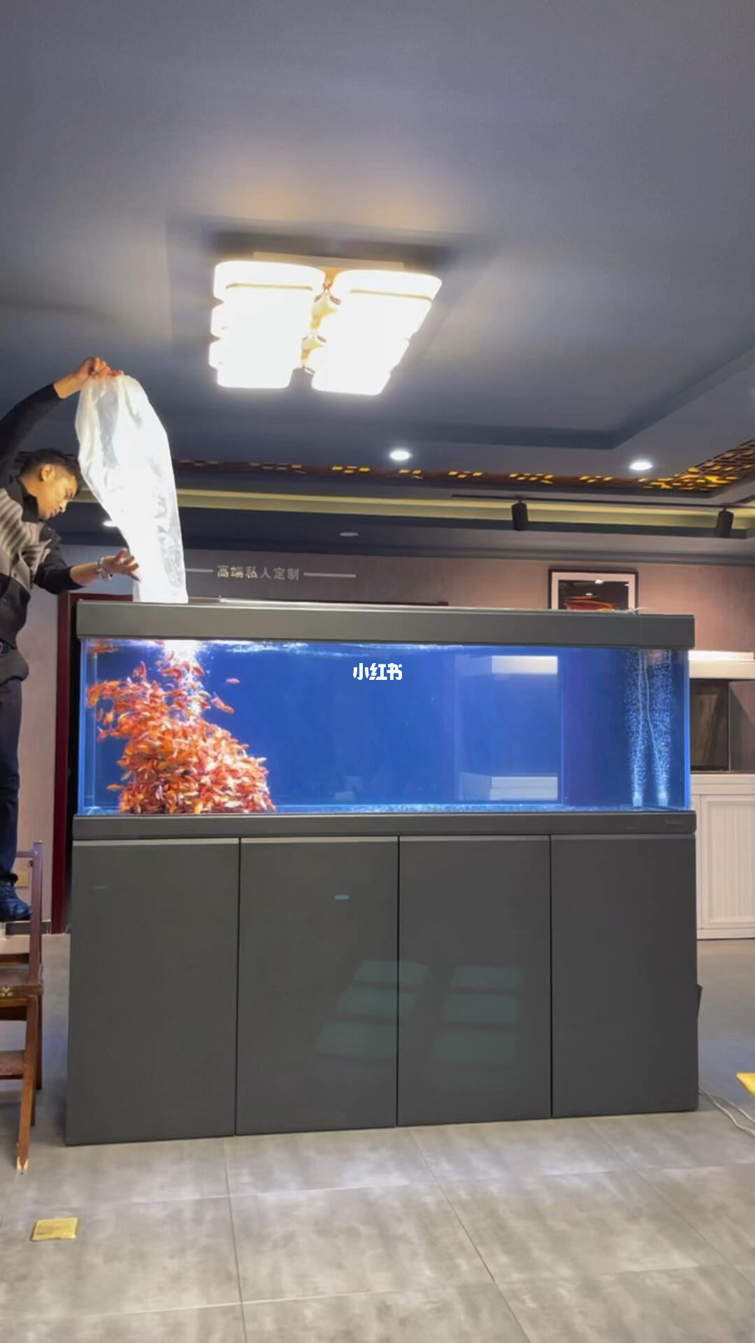 最新款魚(yú)缸推薦，打造夢(mèng)幻水族世界必備之選