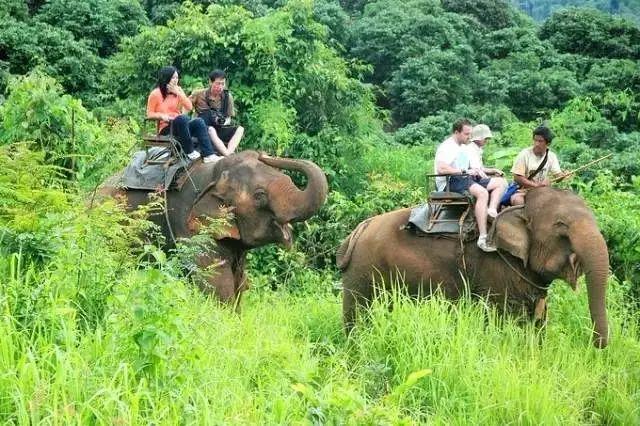 清邁旅游、發(fā)展與文化的最新交融動態(tài)揭秘