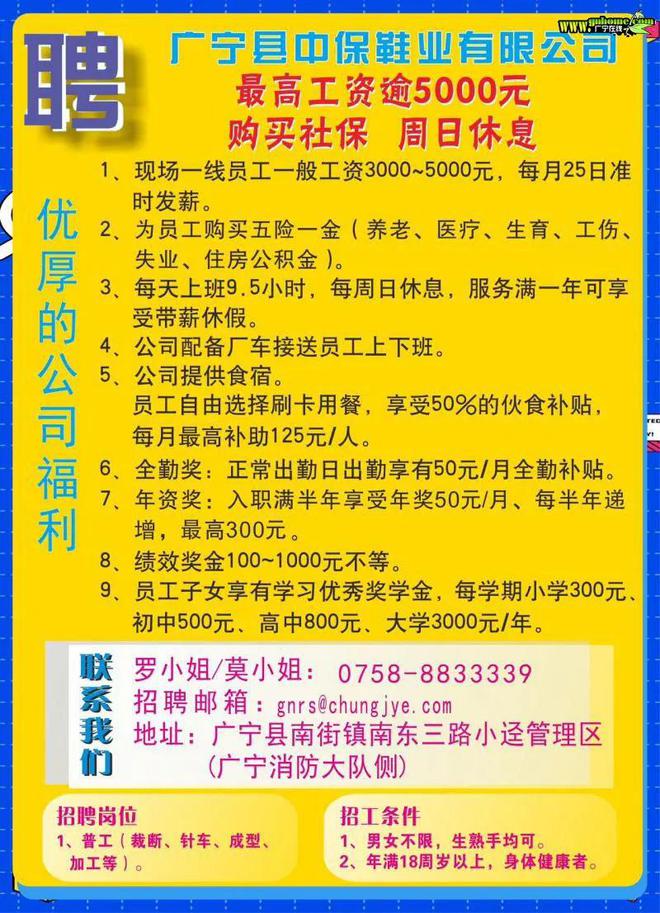 普寧流沙深處尋找特色小店司機，駕駛奇遇啟幕