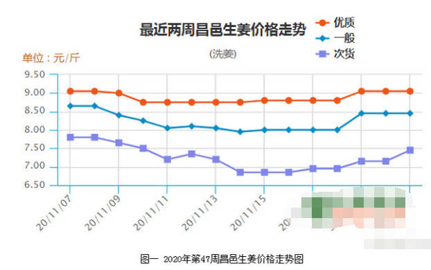 北京新發(fā)地蔬菜批發(fā)行情數(shù)據(jù)與背后的溫情故事