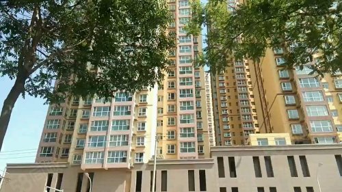 建西花園最新動態(tài)，綠意盎然中的溫馨日常