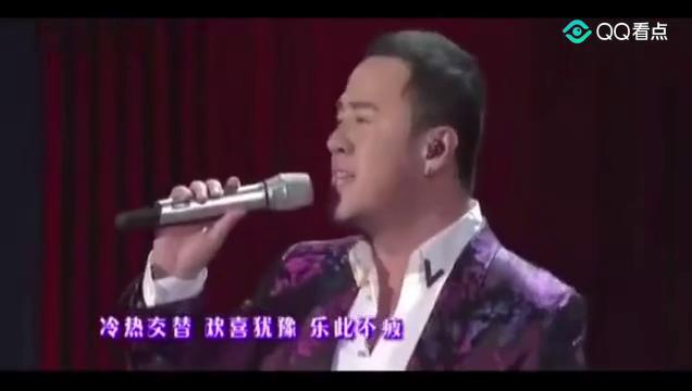 火歌最新，小巷深處的獨特音符
