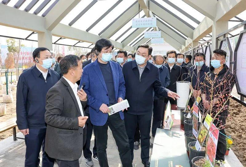 淮安最新動態(tài)，城市變遷中的學(xué)習(xí)與自信成就展