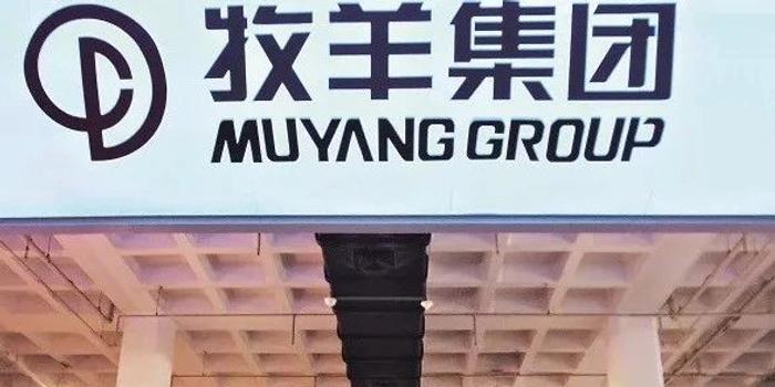 牧羊案迷霧重重，真相揭秘之路