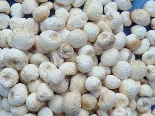 法半夏最新高科技產(chǎn)品介紹及發(fā)展趨勢