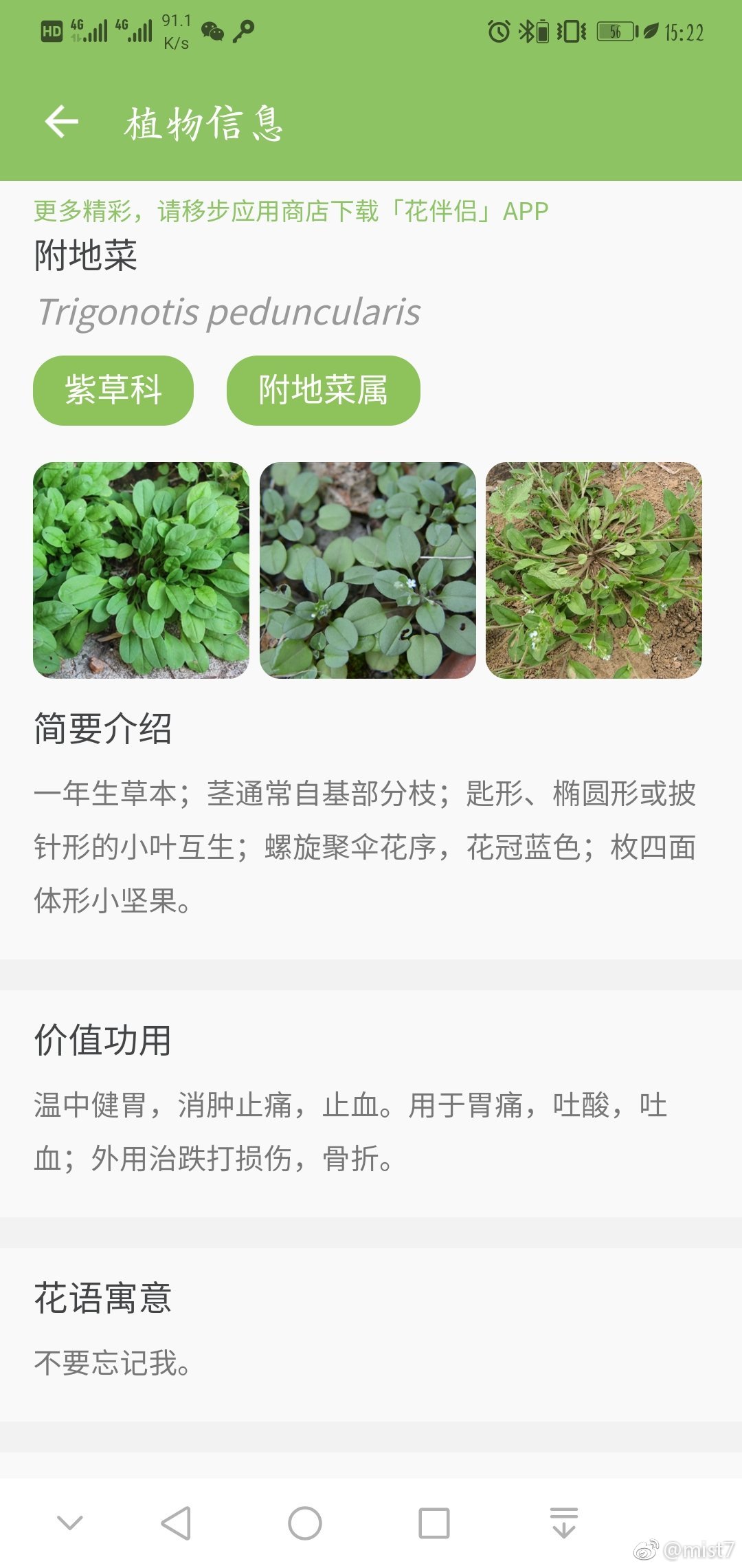 鋼結(jié)構(gòu)工程施工 第4頁(yè)