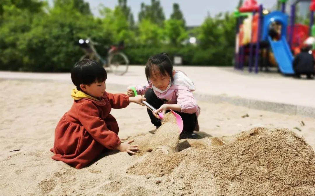 衡水最新集，深度解析教育現(xiàn)象
