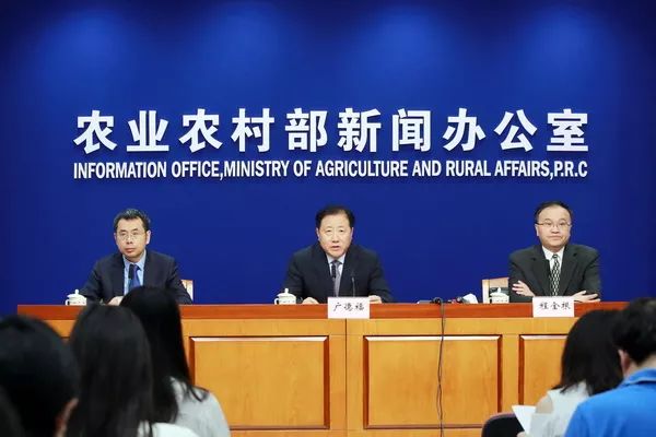 今日最新聞郭鍵怡，學(xué)習(xí)新技能的步驟指南與心得分享