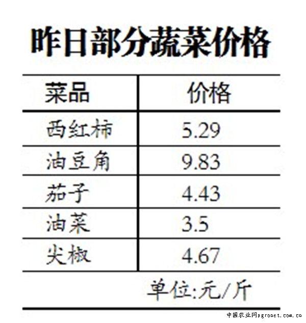 菏澤蒜苔最新行情與小巷深處的味覺(jué)盛宴