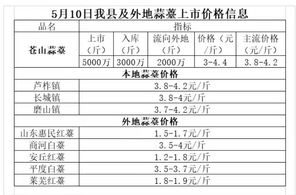 菏澤蒜苔最新行情與小巷深處的味覺(jué)盛宴